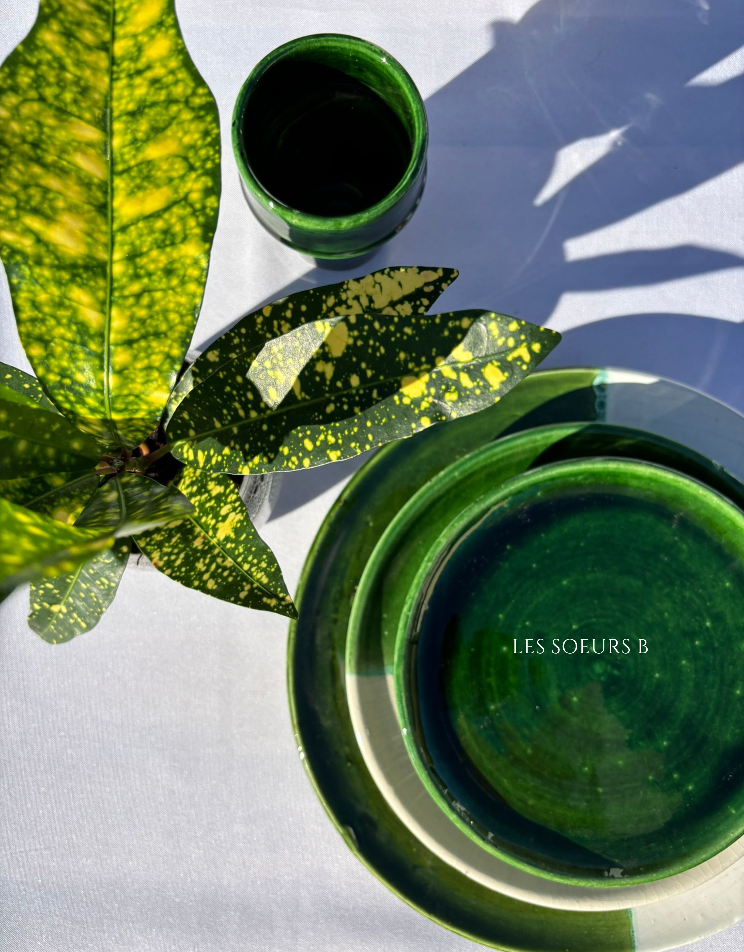 Assiette verte et blanche